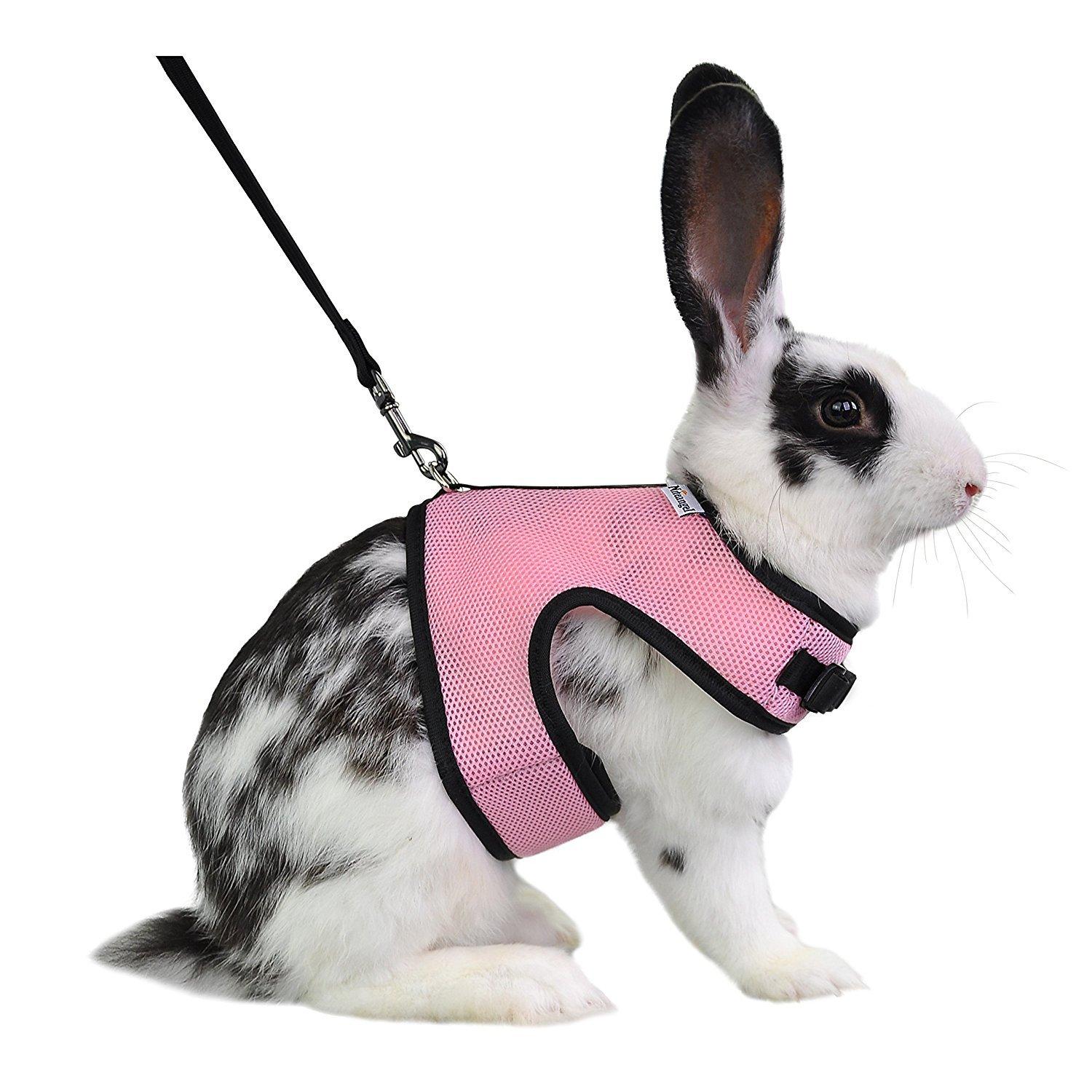 Niteangel Adjustable Soft Harness with Elastic Leash for Rabbits (L