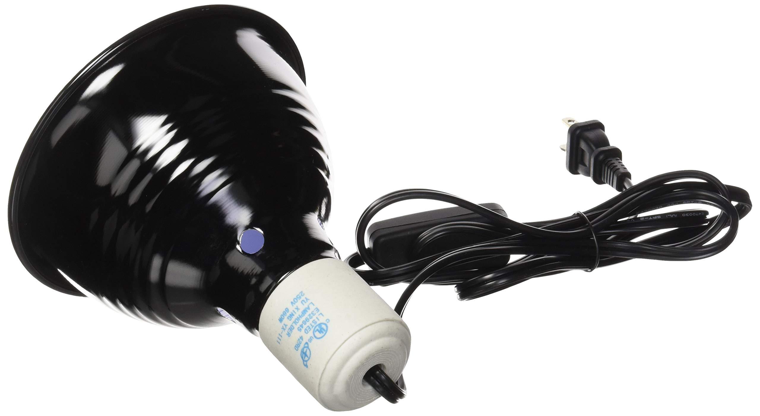 Heat Lamp For Lizard