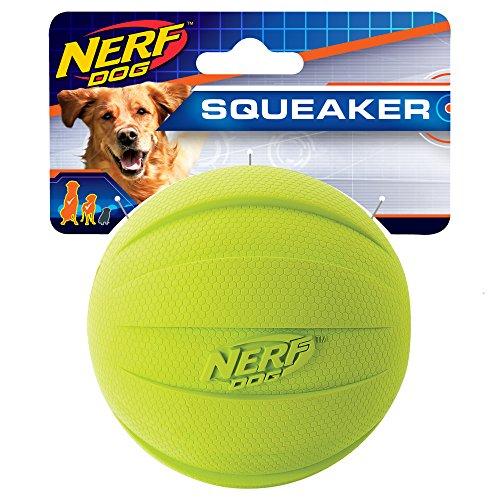 Nerf Dog Rubber Ball Dog Toy with Squeaker, Lightweight, Durable and Water eBay